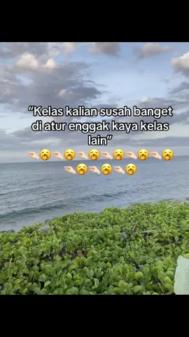 Nega🙄#timorpride🏝🔥 #timorleste🇹🇱❤foryoupage #masukfiiippppppppppppppppppppppppppppppp #