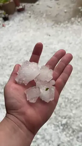 Granizo destruiu casas, hortas e lavouras em Erechim RS