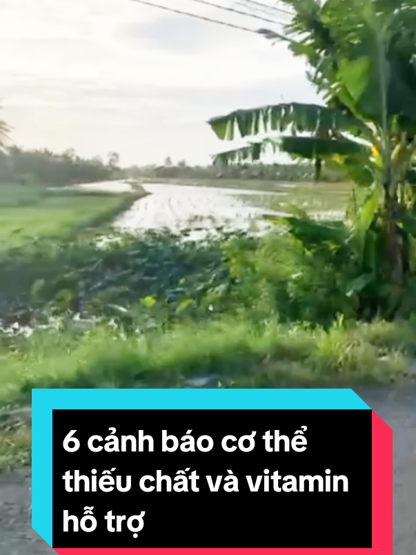 những dấu hiệu cơ thể thiếu chất vitamin#meovatsuckhoedangian #huynhchi #xuhuong 