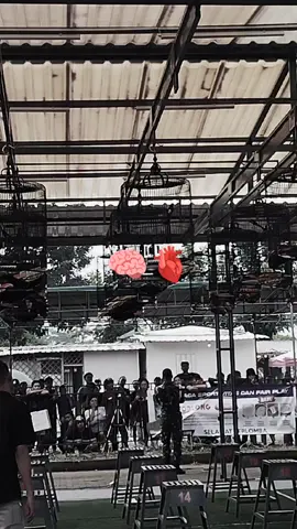 obat tenang❤️‍🩹#tren #fyppppppppppppppppppppppp #kicaumanianusantara #muraibatu #kicaumaniaindonesia 