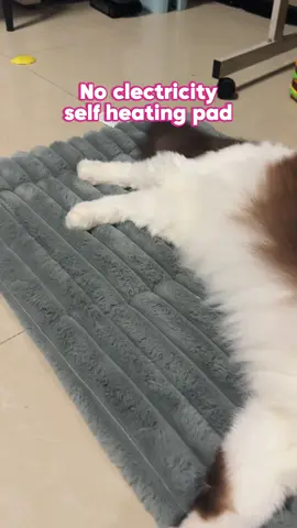 If you have cats you need to get one of these! The one in the video is the 20x30!! #bedsure #catsoftiktok#TikTokShopBlackFriday   #TikTokShopCyberMonday #catlover 