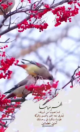 #اذكار_الصباح _والمساء #دعاء_الصباح_والمساء  #صبحكم_الله_بالخير_والعافيه  #صباح_الخير #foryoupagе 