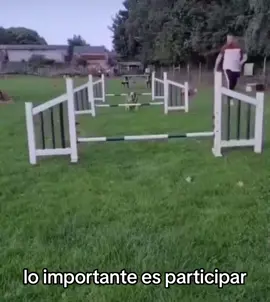 ni ahí con ganar #animales #humor #chile 