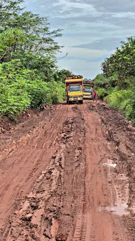 Jalann oh jalan#trucksawitkalimantan #tiktokcreatorsummitid #sultanmakansonice 