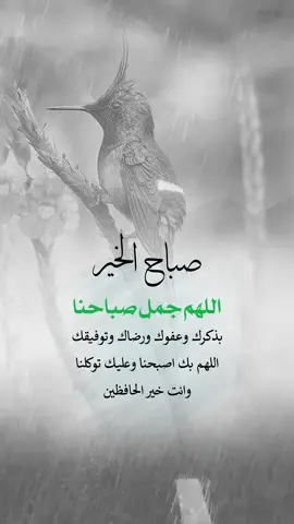 #صباح_الخير اللهم جمل صباحنا بذكرك وعفوك ورضاك #اقتباسات_دينية #إيفان_الجيزانيه #اللهم_جمل_صباحنا_بذكرك_وعفوك_ورضاك 