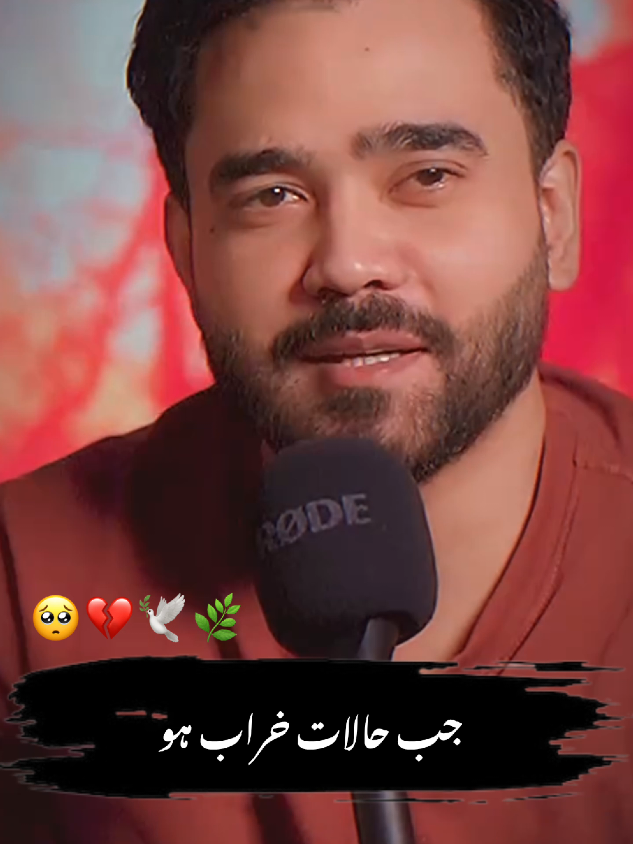 Dear TikTok Team Don't Underview My videos~🥺💔#poetry #foryou #azeem-writes#1millionaudition #barkatuzmi 