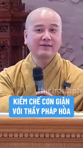 Thầy Pháp Hoà chỉ cách kiềm chế cơn giận #thayphaphoa #thichphaphoa #suutamphapthoai #tuehung #phapthoai 