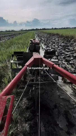 Penting halal#petanimuda #yanmar #fyp #jokitraktormuda #traktormaniaindonesia 