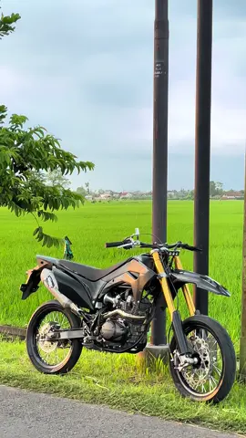 🦍🤙🏻 #stellagank #komorodstyle #crfherexstyle #supermotoherexstyle #surex 