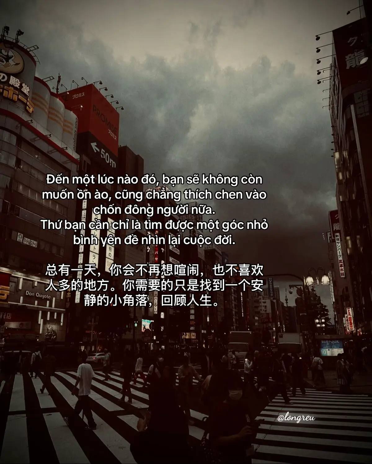 Đến một lúc nào đó, bạn sẽ không còn muốn ồn ào, cũng chẳng thích chen vào chốn đông người nữa. Thứ bạn cần chỉ là tìm được một góc nhỏ bình yên đề nhìn lại cuộc đời. 总有一天，你会不再想喧闹，也不喜欢人多的地方。你需要的只是找到一个安静的小角落，回顾人生。#fypシ゚#longreu #doisong #xahoi #xuhuongtiktok 