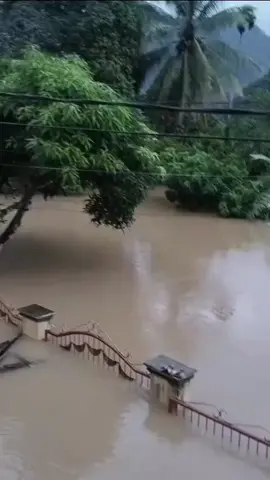 Kondisi banjir pagi ini Senin 24 November 2025 posisi di Duku, Kabupaten Pesisir Selatan. Jalan ini merupakan lintas Sumatra. Padang - Painan untuk sementara ini tidak bisa dilewati. Ketinggian air diperkirakan satu meter lebih.  Video: bu guru Ega @muhammad_noli #banjirpessel #infobanjir #fyp #bisniscompku