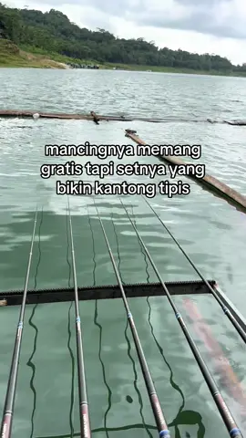 Spil setmu bolo #fyp #mancing 