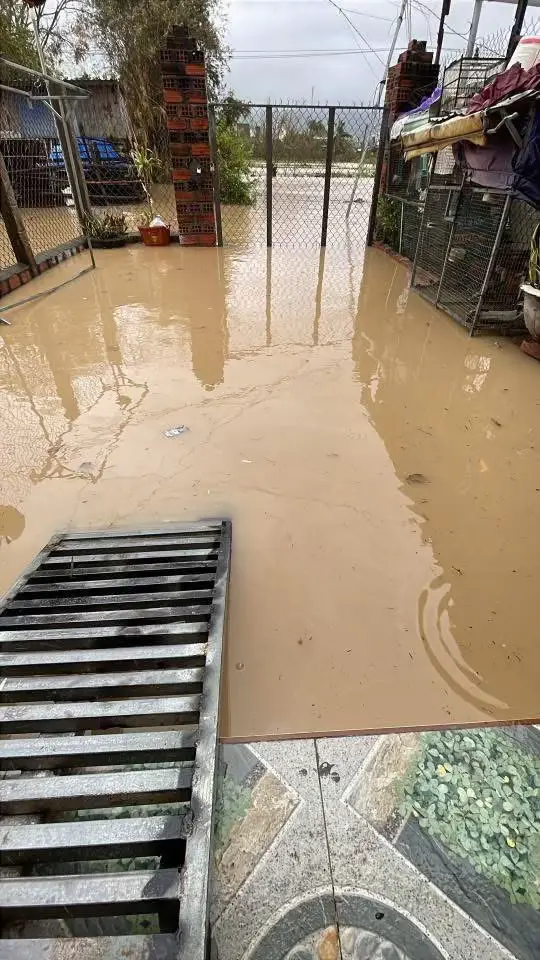 Tình hình sáng nay ngày 24/11/2025  Nước lại dâng lên tiếp tục ngập và cô lập một số nơi trên địa bàn Quy Nhơn, An Nhơn, Diêu Trì… nha cả nhà ơi😓😓 #bìnhđịnh77 #lũlutmientrung #fyppppppppppppppppppppppp  #quynhon #lũ2025 