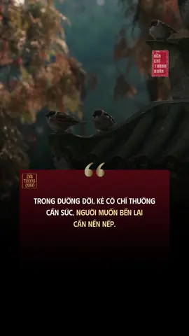 Kẻ có chí cần sức, người muốn bền cần nền nếp #trietlysong #fyp #benchithanhnhan #sachbenchithanhnhan 