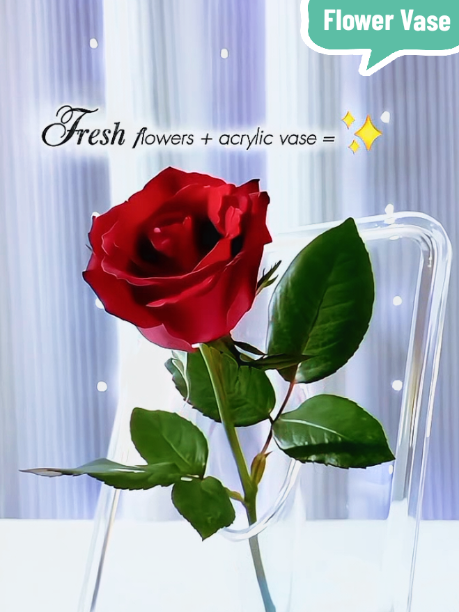 There’s something about an acrylic vase that just fits everywhere — lightweight, minimalist, and beautifully transparent. It lets the flowers shine, the colors pop, and the whole space feel fresh without trying too hard. One of those pieces that quietly transforms a room and reminds you that beauty doesn’t need to be loud to stand out. 🌸✨ #flowervase #vase #acrylicvase #aestheticvase #homedecor 