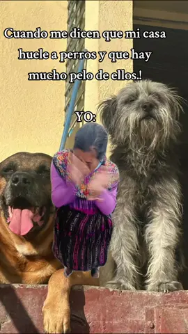 #Meme #MemeCut #CapCut #ajuera #pyfツ 