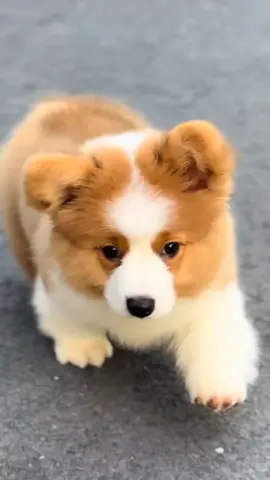 E còn bé lắm🥰