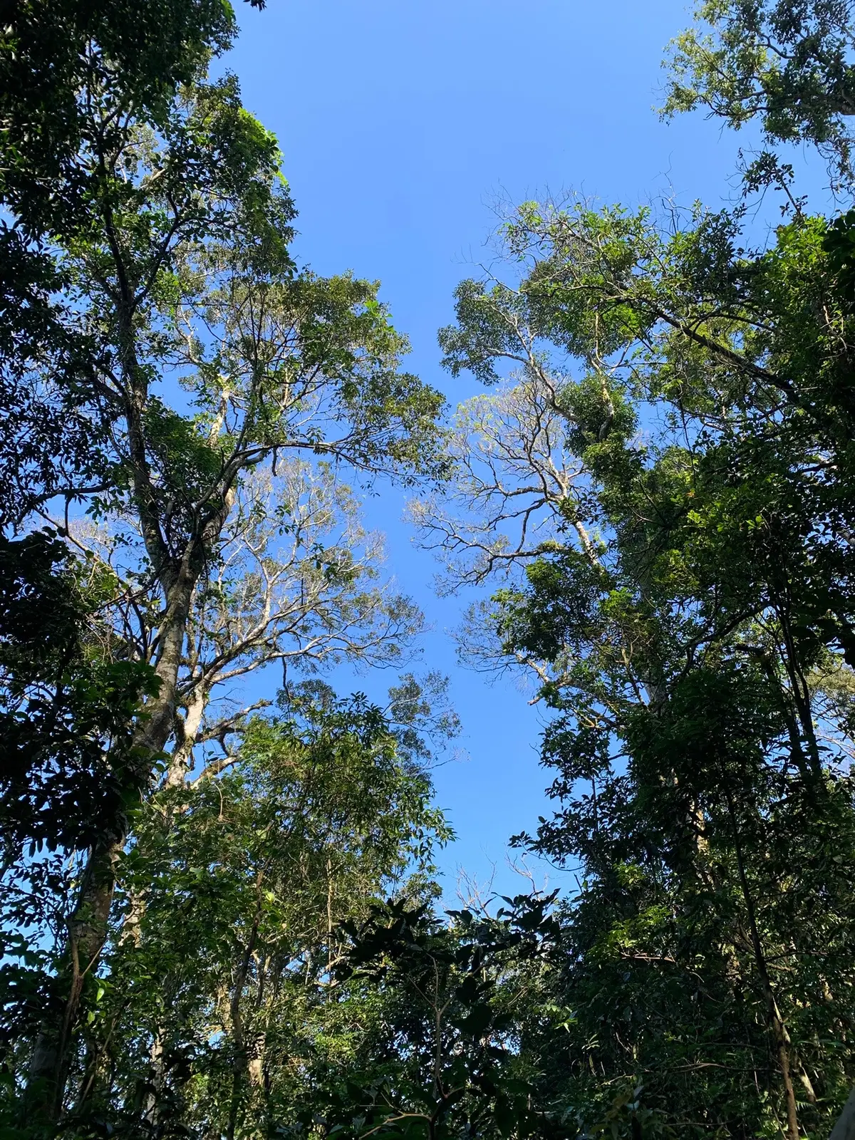 🏞️🏞️🏞️ #bavi