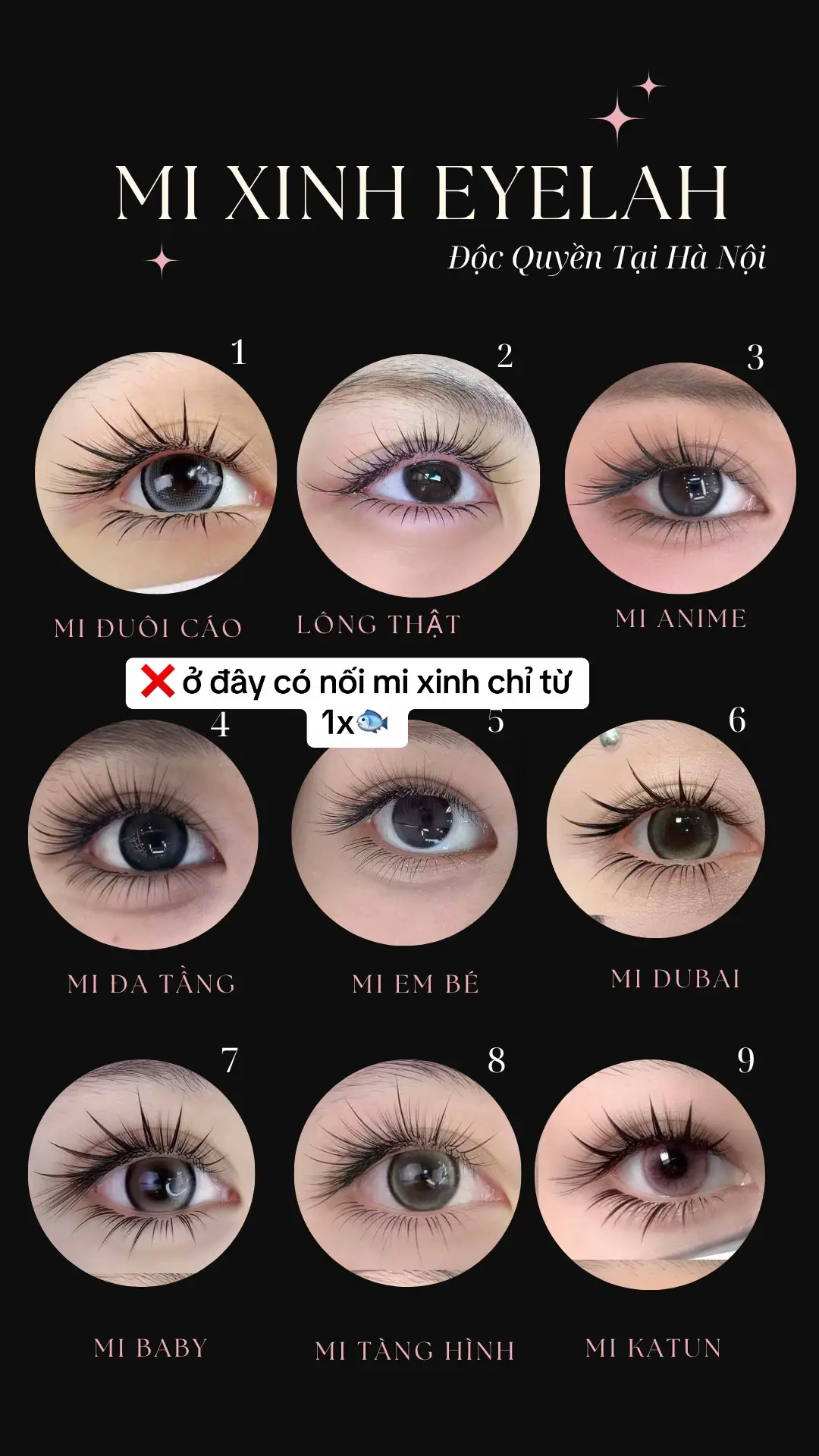 #daotaohocvien #nôimichuyênnghiệp #mixinhhanoi 