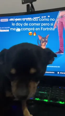 obviamente es humor, el perro come mejor que yo 😍😘#paratiiiiiiiiiiiiiiiiiiiiiiiiiiiiiii #apoyoplissssssssssssss💞 #mascotas #fortnite 