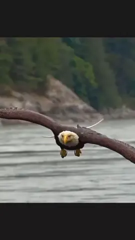 #islamic_video #foryou #foryoupage #tiktokviral #