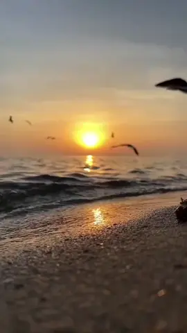 الدنيا محطة عبور✨ #فولو♥️ #اكسبلور