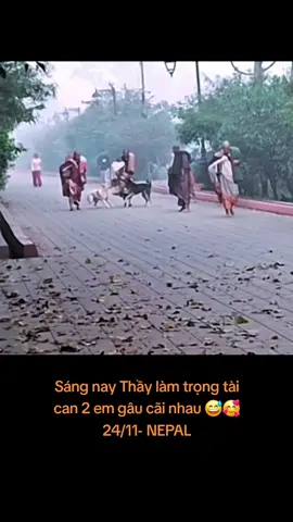 Dễ thương sáng nay 😆😊😊😊 #xuhuong #thichminhtue #gaimienque ☘️🌸