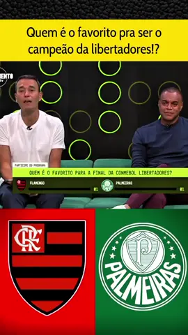 QUEM É O FAVORITO NA FINAL DA LIBERTADORES? #flamengo #palmeiras #libertadores #brasileirão2025 