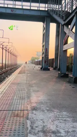 #fppppppppppppppppppp  #fyp M