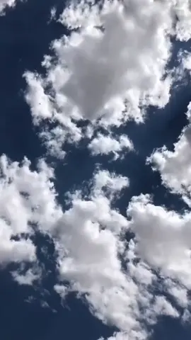 La salvación es individual, solo hay que orar mucho por aquéllos que aún no han aceptado a Jesús. ❤️🙏 #diosteama #Dios #Jesus #Espiritusanto #amor 