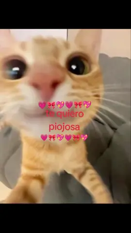 #mejoramiga #friends #tu #amigos #compartir 