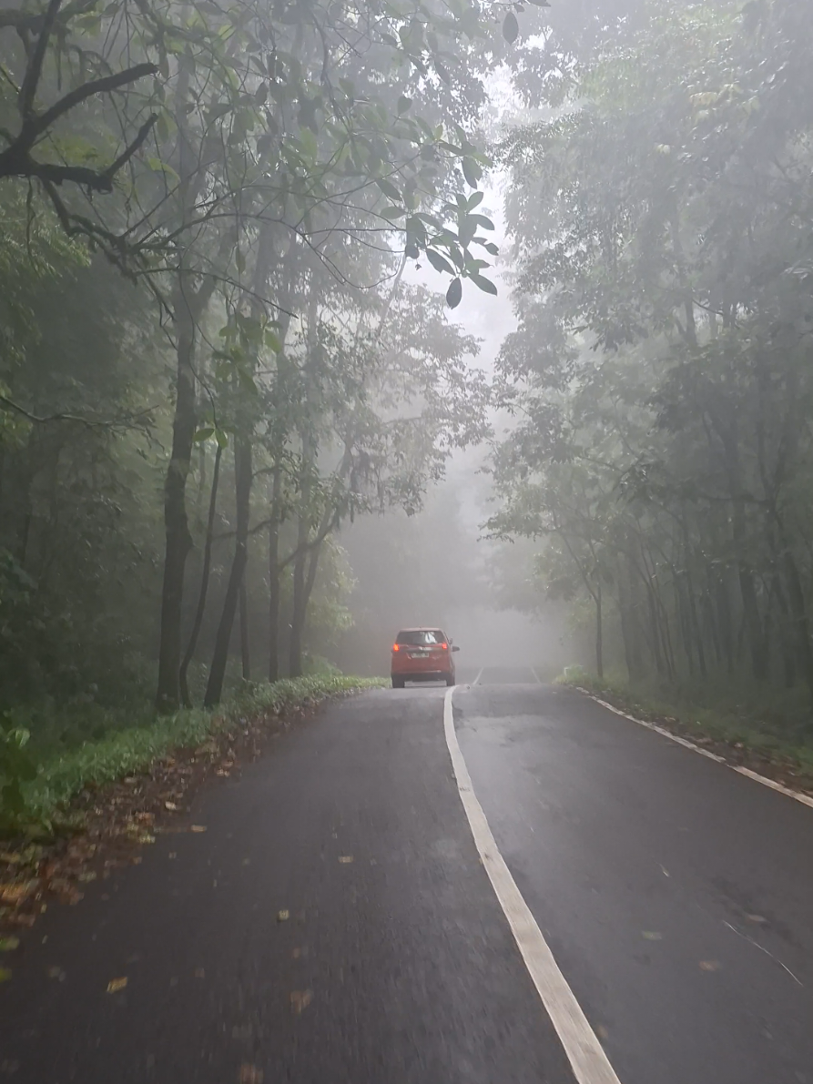 Cangar dengan view kabut nya kira kira mau kemana kita ? #vibescangar  #batumalang  #trip  #explore  #traveling 