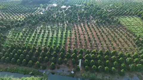 Co gang len mọi người. 93 bình Phước #xuhuongtiktok 