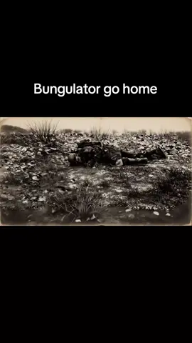 Bungulator go home #arcraiders #gaming #fyp #theburntpeanut #tiktok 