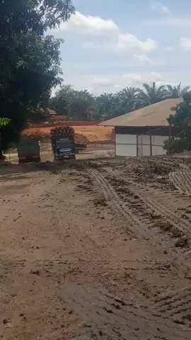 gacor emang kalau bulan (black sweet)😎 #pabrikkelapasawit  #pejuangrupiah  #kulisawit  #sopirtruk  #pekrjakeras😎💪 