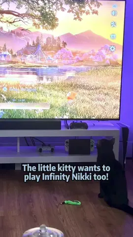 The little kitty wants to play Infinity Nikki too! #infinitynikki #kitten #catsoftiktok #cute #fyp 