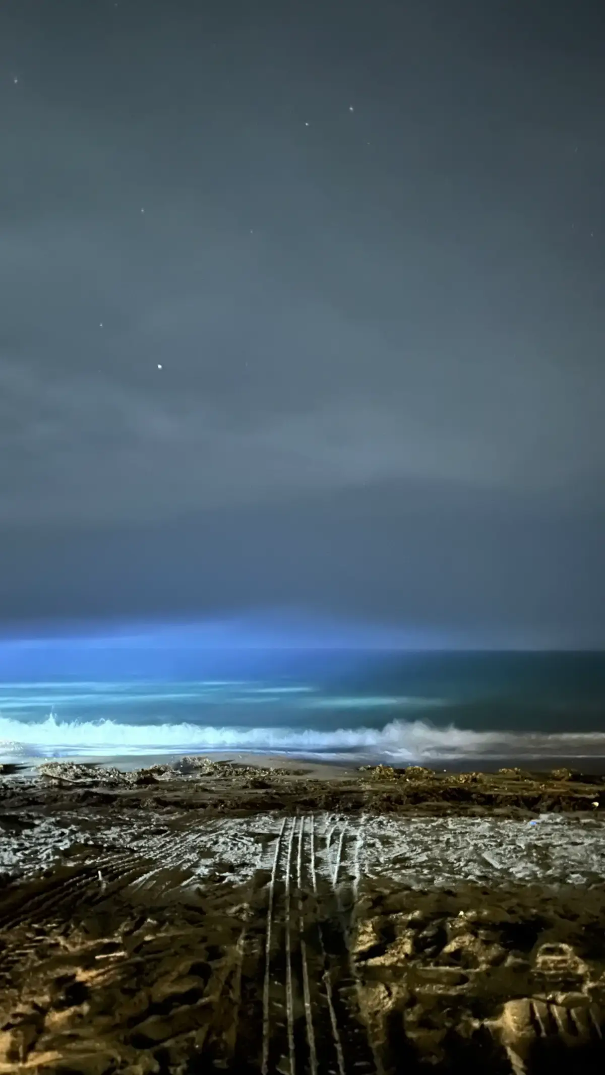 #تصويري📷 #عشوائيات_مصورة🤍 #taswir #capcut #اليل