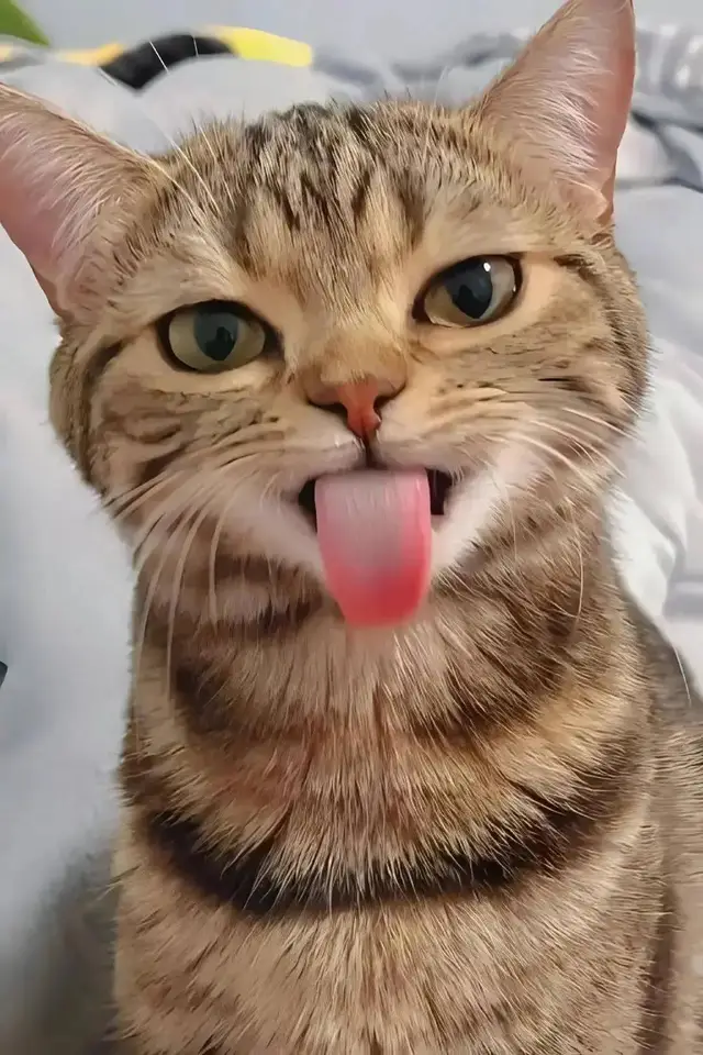 #anime #рекомендации #fup 