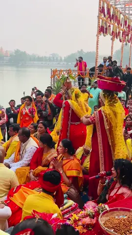 ❤️❤️❤️❤️