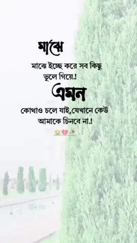 #কষ্টের_এর_জীবন #foryou #foryoupage #bdtiktokofficial 
