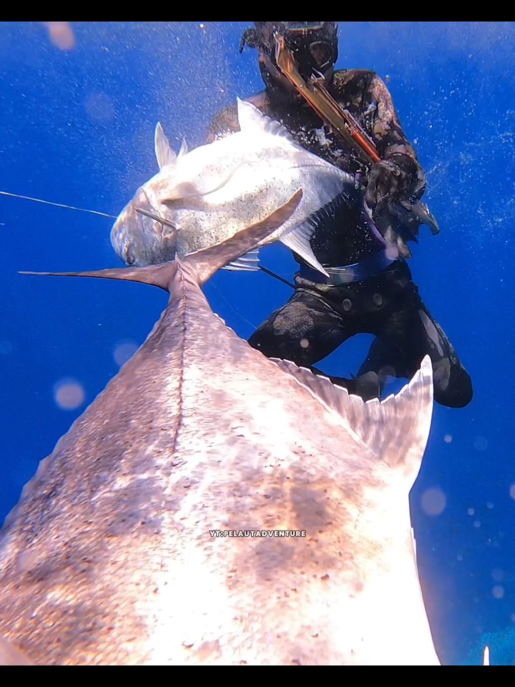 Saya Dan Baibi Sama-sama Dapat Ikan Monster