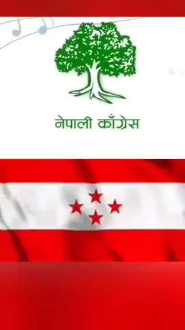 #creatorsearchinsights #fyp #foryou #nepalicongress #dhanrajgurung 