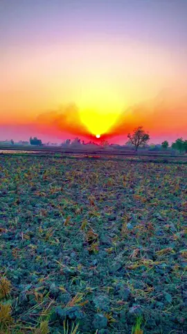 #بھیانمبر1 #سنگت_ویڈیو_وائرل_کریسو_آپ_ہیں🥀🌼🙈✨🎇 #foryoupage #foryoupage #foryoupageofficiall 