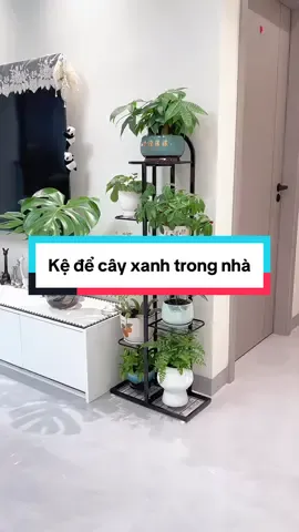 Kệ để cây xanh trong nhà #giadungtienich #giadungthongminh #fyp #kedecaycanhtrongnha 