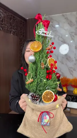Set trang trí cây tùng thơm noel này bao rực rỡ luôn #zeedio #thaotep 