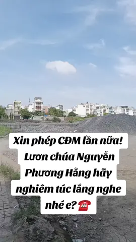 Nguyễn Phương Hằng hãy trở lại làm 