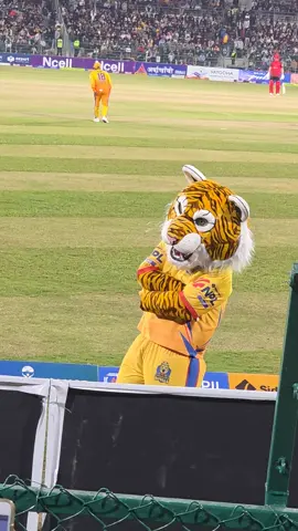 आज बाघलाइ जितको शुभकामना #chetanbohara_official #foryou #npl #chetanbohara #sudurpaschimroyals @Naren saud 