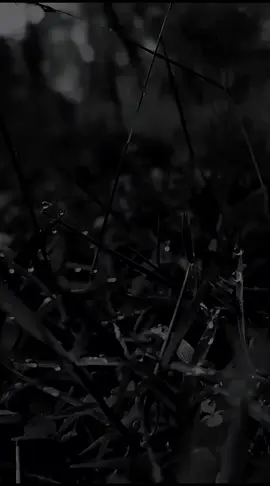 #quotes #foryou #foryoupage #laguviral #CapCut 