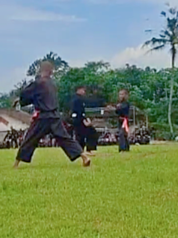 sudah waktunya sabuk hijau  #pshtjember #pencaksilatindonesia #beladiri #fypシ 