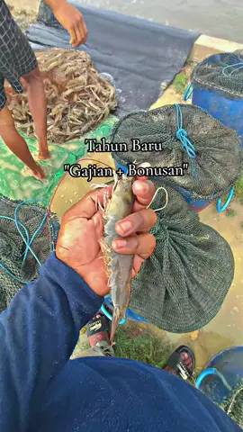 #lewatberanda #budidayaudangvaname #kulitambak🦐 #pejuangFCR #fypviralシ 